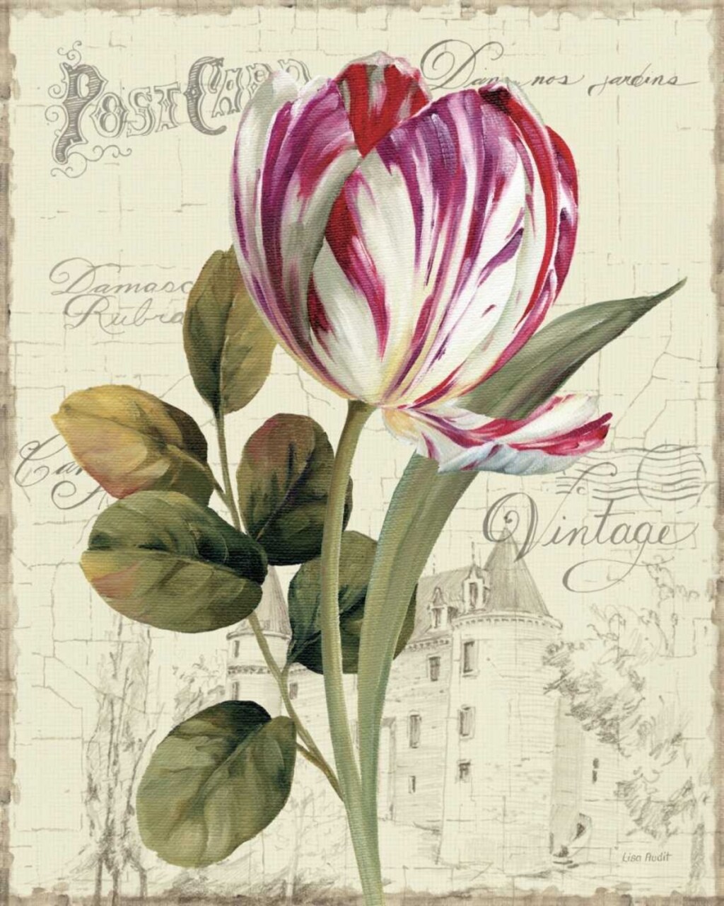 Garden View II - Tulip Poster Print by Lisa Audit - Item # VARPDX11379